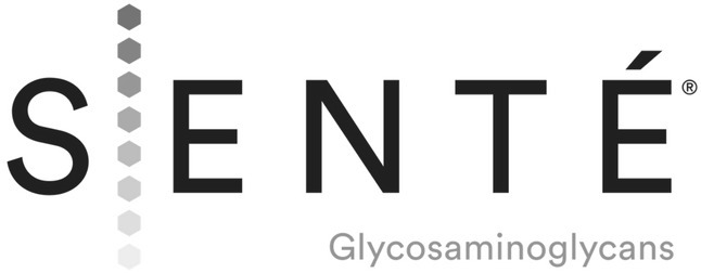 Sente logo